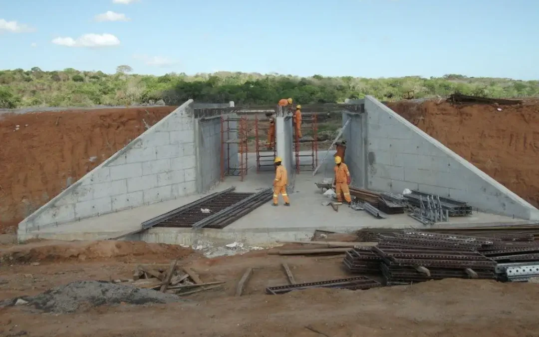 Construction and Rehabilitation of Roads - Execution Project section 2 - Mocímboa da Praia / Palma