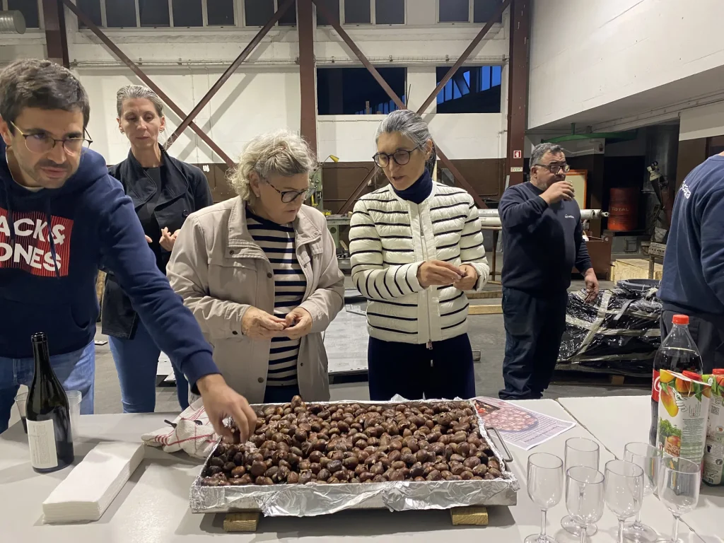 carldora_magusto_14